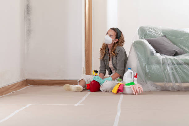 Reliable Mold Remediation contractor in Melrose, MN by WQB Mold Removal